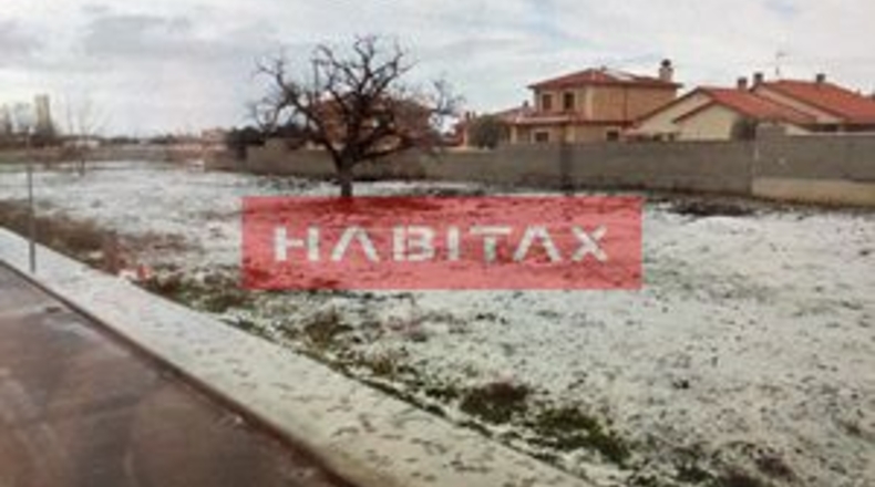 Zamora - Morales del Vino - 560m2
