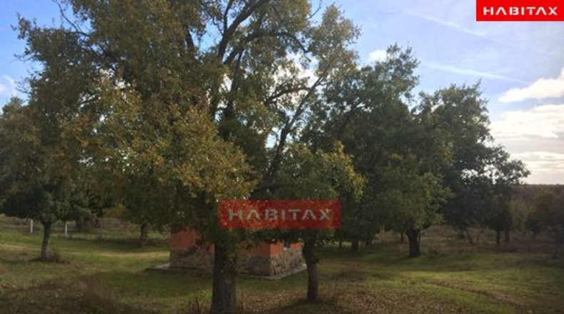 Zamora - El Cubo de Tierra del Vino - 500000m2