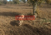 Finca rústica en venda a la España, El Cubo de Tierra del Vino, ref.: TR98685 foto