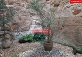 Village house for sale in Zamora ref: TR98612 photo