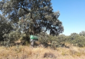 Terreny no urbanitzable en venda a Badajoz ref.: TR11700 foto
