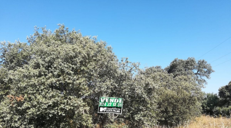Badajoz - Badajoz - 5000m2