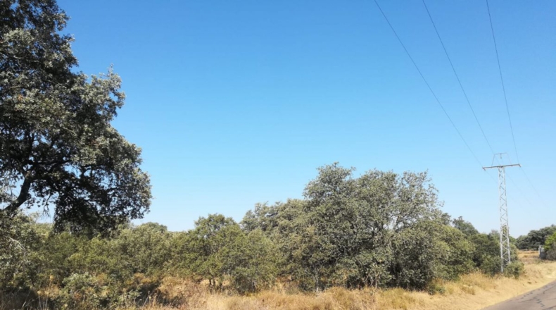 Badajoz - Badajoz - 5000m2