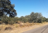 Terreny no urbanitzable en venda a Badajoz ref.: TR11700 foto