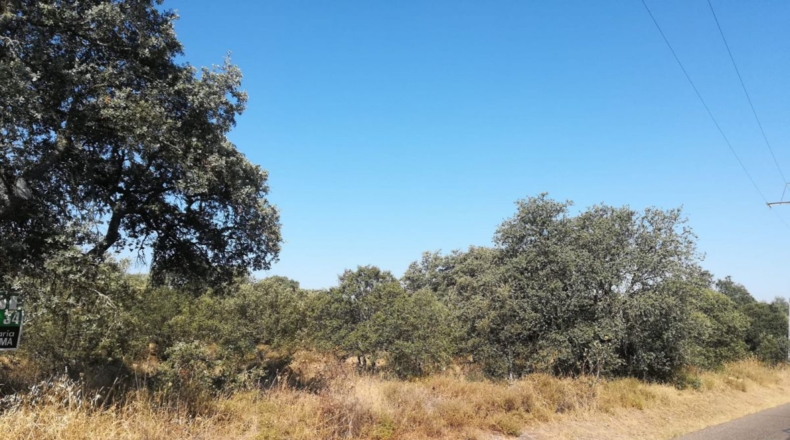 Badajoz - Badajoz - 5000m2