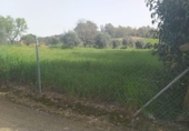 Terreny no urbanitzable en venda a Badajoz ref.: TR11794 foto