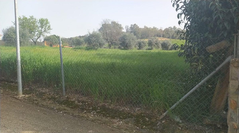 Badajoz - Badajoz - 4000m2