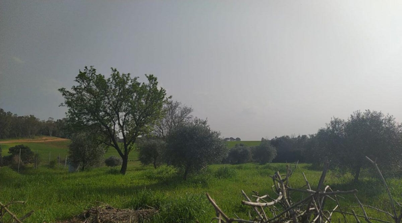 Badajoz - Badajoz - 4000m2
