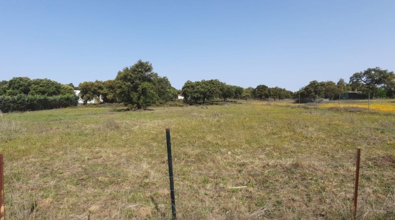 Badajoz - Badajoz - 5000m2