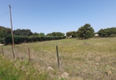 Terreny no urbanitzable en venda a Badajoz ref.: TR54485 foto