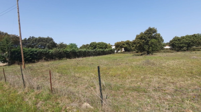Badajoz - Badajoz - 5000m2