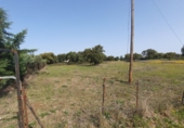 Terreny no urbanitzable en venda a Badajoz ref.: TR54485 foto