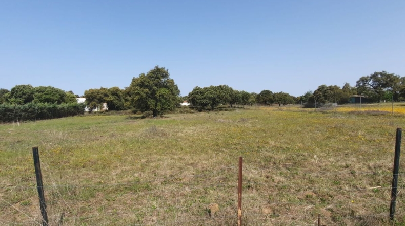 Badajoz - Badajoz - 5000m2