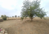 Xalet independent amb terreny en venda a Badajoz ref.: TR92921 foto