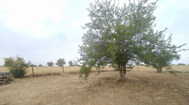 Badajoz - Valverde de Leganés - 22000m2