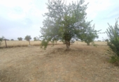 Xalet independent amb terreny en venda a Badajoz ref.: TR92921 foto
