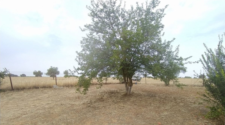 Badajoz - Valverde de Leganés - 22000m2