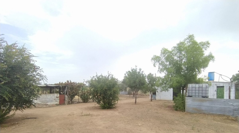 Badajoz - Valverde de Leganés - 22000m2