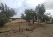 Xalet independent amb terreny en venda a Badajoz ref.: TR92921 foto
