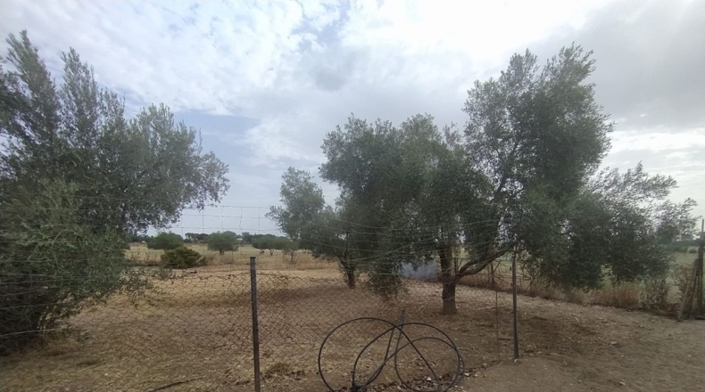 Badajoz - Valverde de Leganés - 22000m2