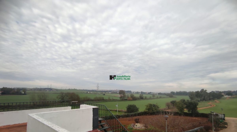 Badajoz - Badajoz - 2500m2