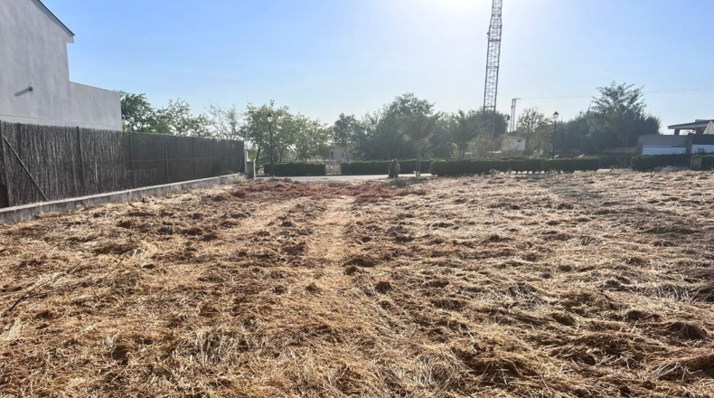 Badajoz - Badajoz - 1000m2