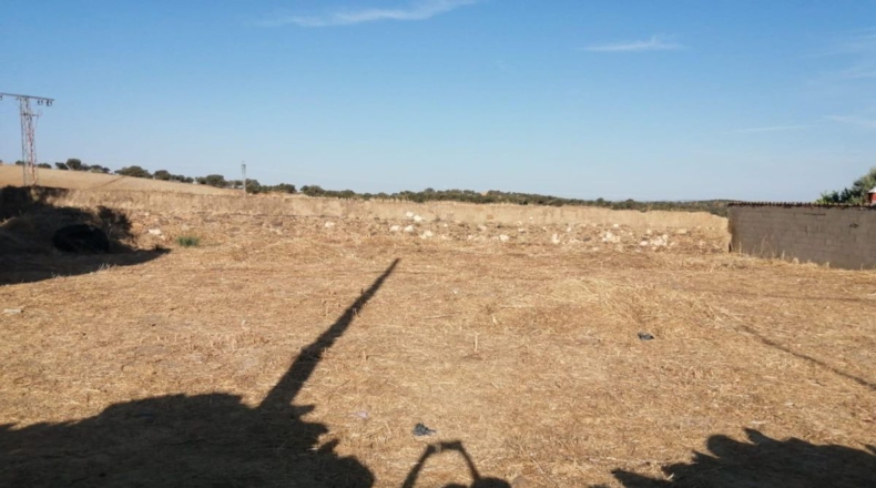 Badajoz - San Rafael de Olivenza - 723m2