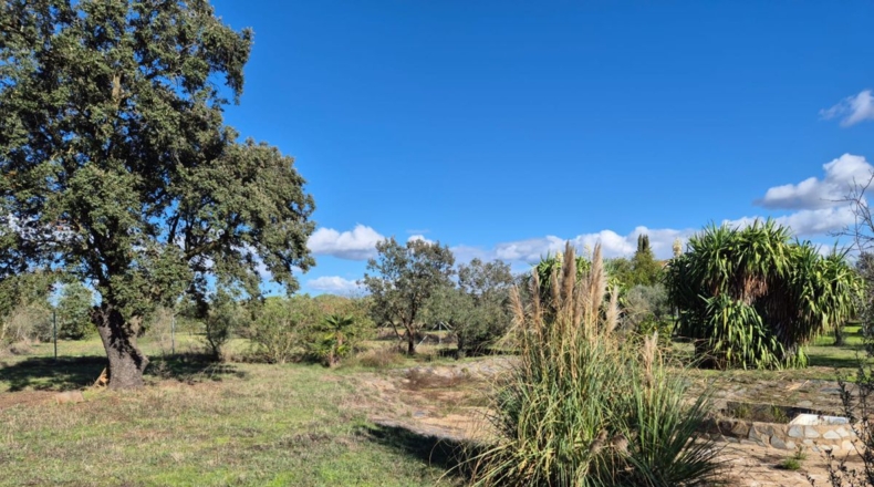 Badajoz - Río Caya - 5000m2