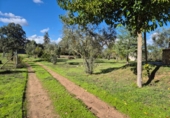 Xalet independent amb terreny en venda a Badajoz ref.: TR204093 foto
