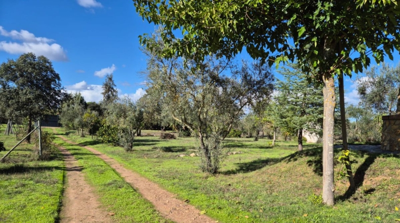Badajoz - Río Caya - 5000m2