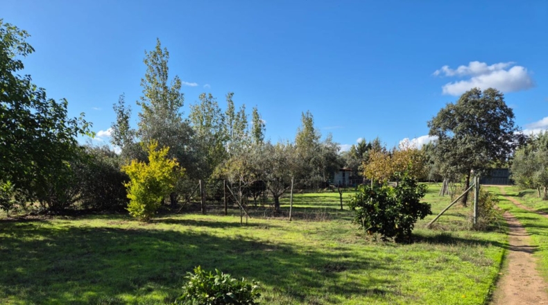 Badajoz - Río Caya - 5000m2