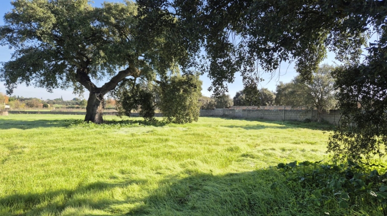 Badajoz - Badajoz - 10m2