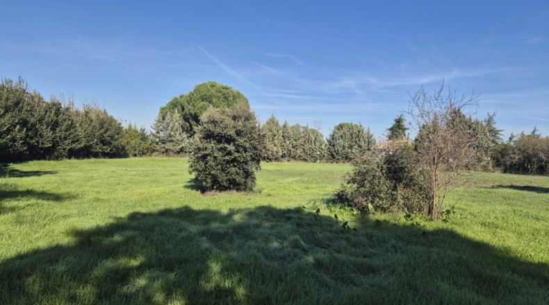 Badajoz - Badajoz - 10m2