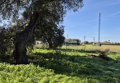 Terreny no urbanitzable en venda a Badajoz ref.: TR204094 foto