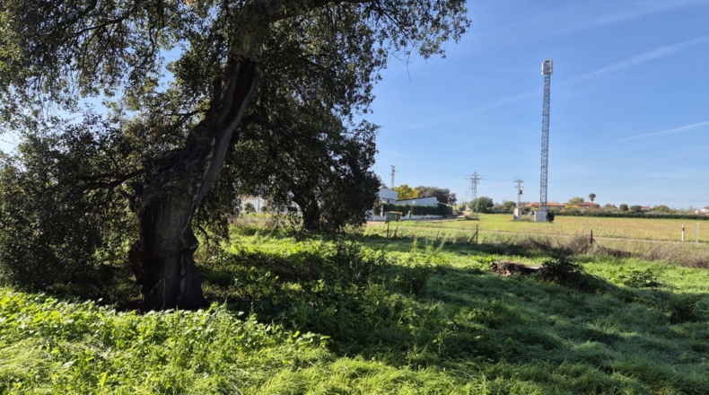 Badajoz - Badajoz - 10m2