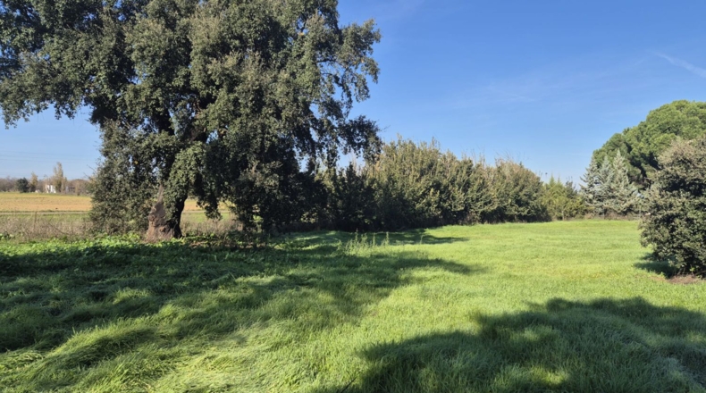 Badajoz - Badajoz - 10m2