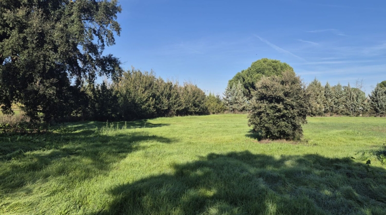 Badajoz - Badajoz - 10m2