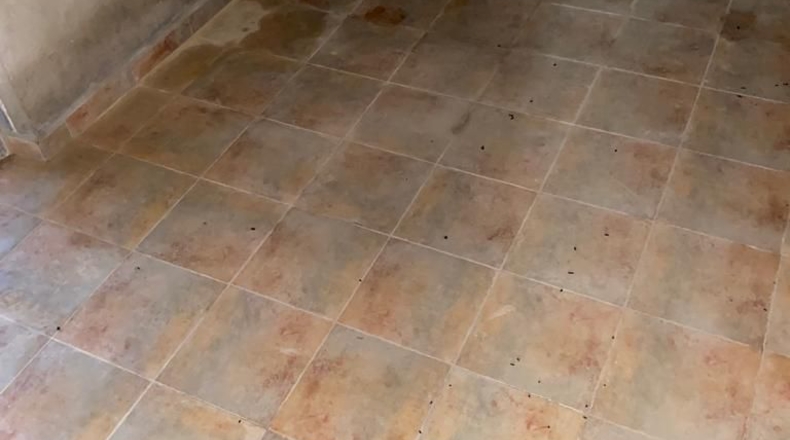 Cáceres - Valencia de Alcántara - 2500m2