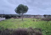Terreny no urbanitzable en venda a Badajoz ref.: TR377276 foto