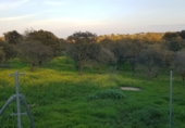 Parcel·la urbanitzable en venda a Badajoz ref.: TR233155 foto