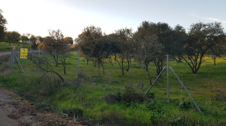 Badajoz - Badajoz - 7270m2