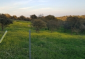 Parcel·la urbanitzable en venda a Badajoz ref.: TR233155 foto