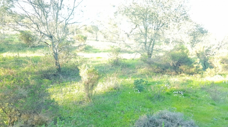 Badajoz - Badajoz - 7270m2