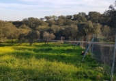 Parcel·la urbanitzable en venda a Badajoz ref.: TR233155 foto