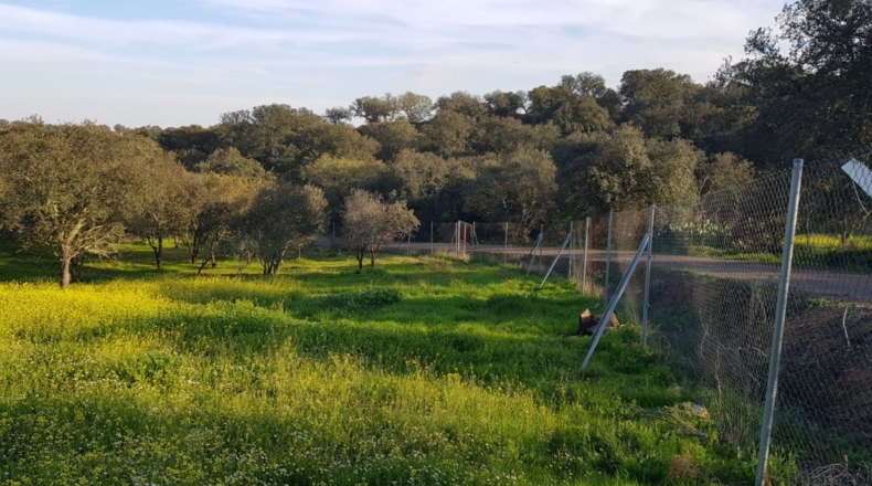 Badajoz - Badajoz - 7270m2