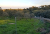 Parcel·la urbanitzable en venda a Badajoz ref.: TR233155 foto