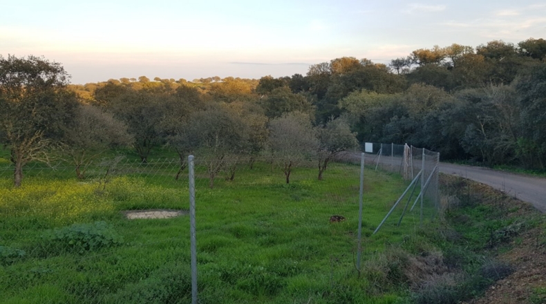 Badajoz - Badajoz - 7270m2