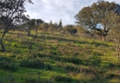 Parcel·la urbanitzable en venda a Badajoz ref.: TR233155 foto