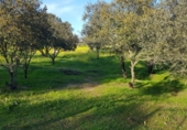 Parcel·la urbanitzable en venda a Badajoz ref.: TR233155 foto