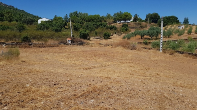 Badajoz - La Codosera - 23330m2